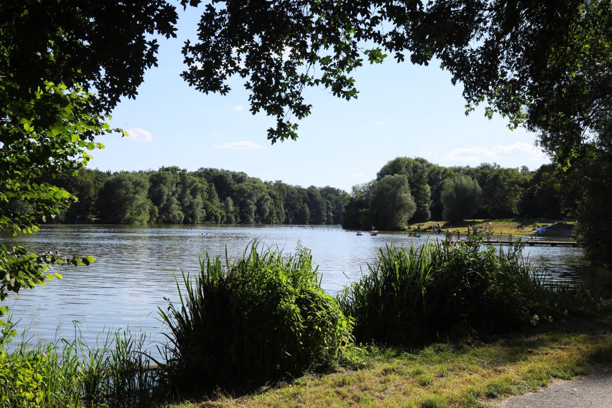 Romantik Hotel Landhaus Biewald Friedland  المظهر الخارجي الصورة
